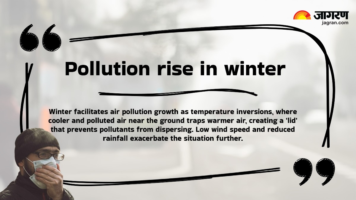 WhatsApp Image 2025-12-05 at 3.48.04 PM