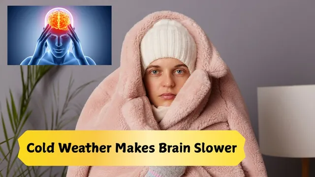 did-you-know-cold-weather-can-make-your-brain-work-slower-heres-what-you-should-know-winter-fact