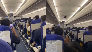 Pigeon Enters Bengaluru-Vadodara IndiGo Flight, Internet Calls It Moment Of Joy Amid Ongoing Crisis | Viral Video