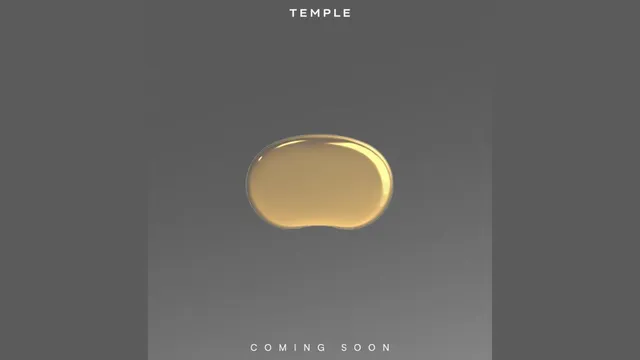 zomato-ceo-deepinder-goyal-teases-new-brain-health-venture-temple