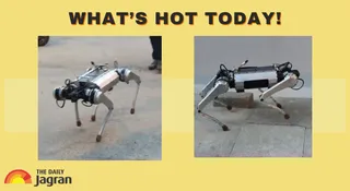 Robot Dog ‘PARAM’, Built In 30 Days, Roams Bengaluru Streets And Leaves Locals Amazed | What’s Hot Today