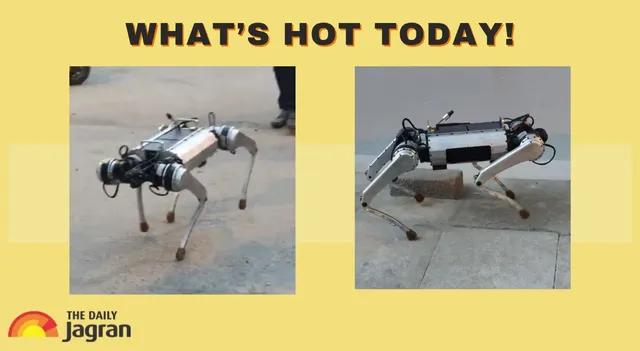 robot-dog-param-built-in-30-days-roams-bengaluru-streets-and-leaves-locals-amazed-in-viral-video-whats-hot-today