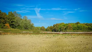 Pune Land Deal: Police Recover Original Sale Deed And PoA Linked To Parth Pawar Firm
