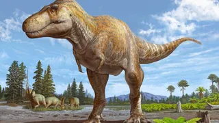 16,000 Dinosaur Footprints Found In Bolivia, Scientists Reveal Crazy Secrets Behind Giant Triassic Period Reptile
