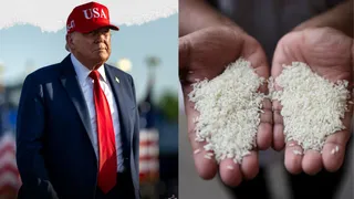 Could India Be Hit With New US Tariffs Over Alleged 'Rice Dumping'? Here's What Trump Said | WATCH