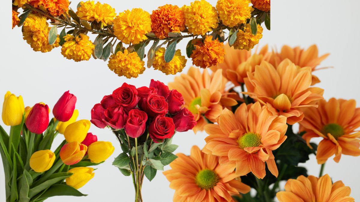 flower quiz with answers for kids (1)