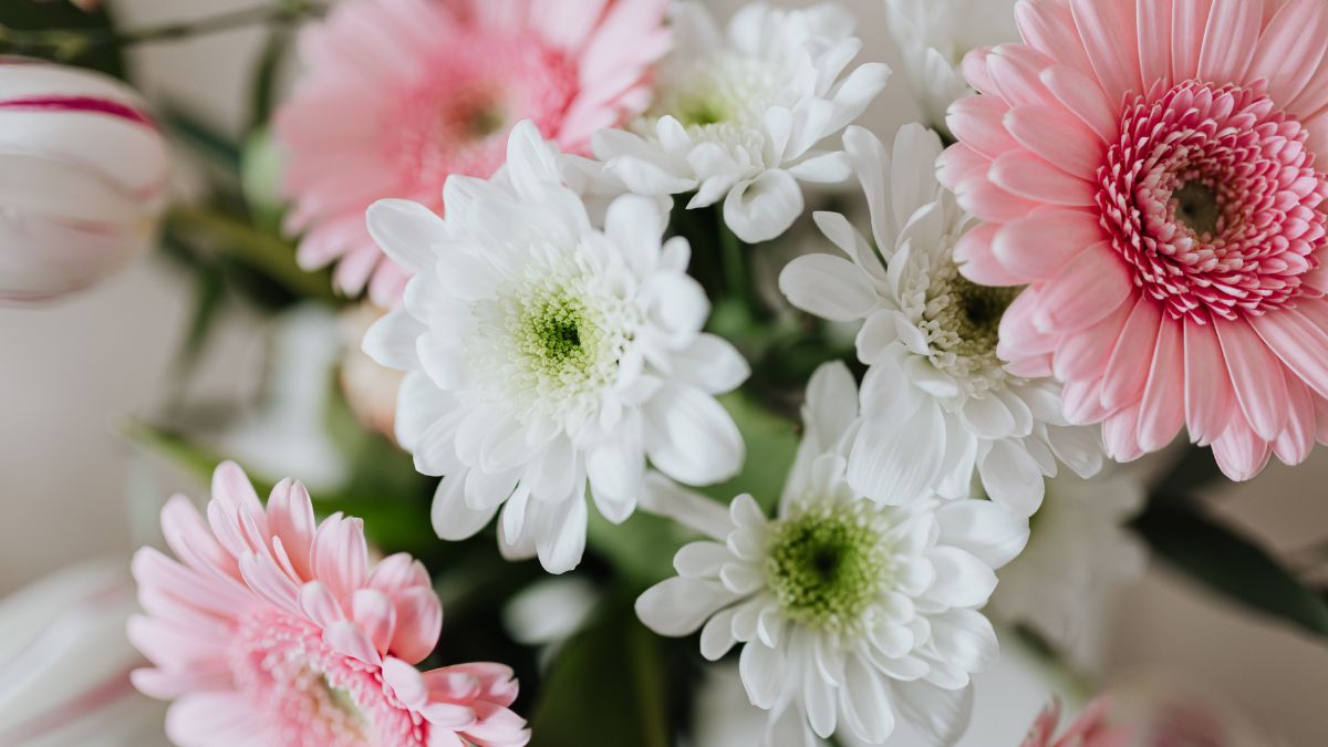 flower quiz with answers for kids (2)