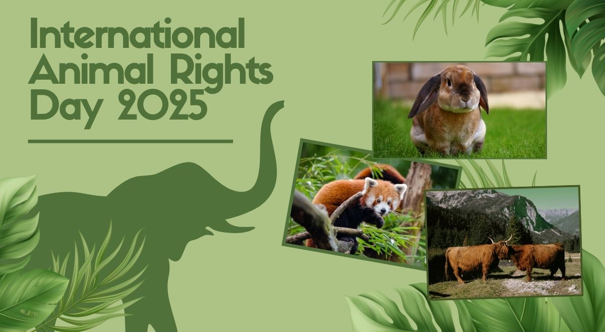 Animal Rights Day quotes