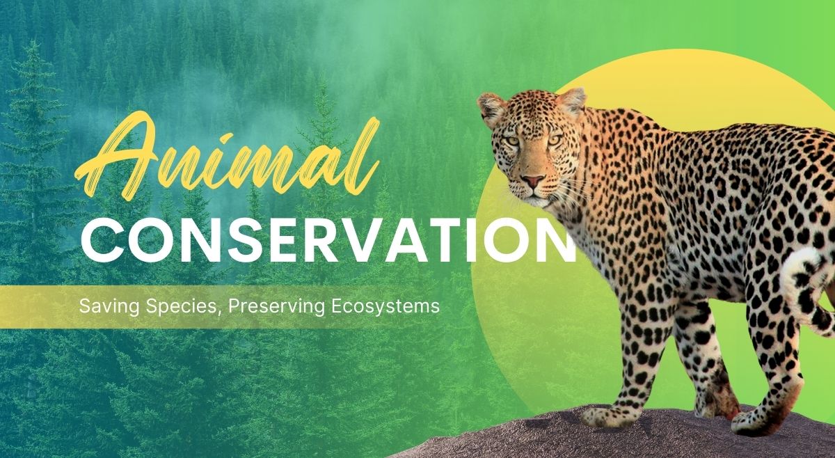 Animal Rights day slogans