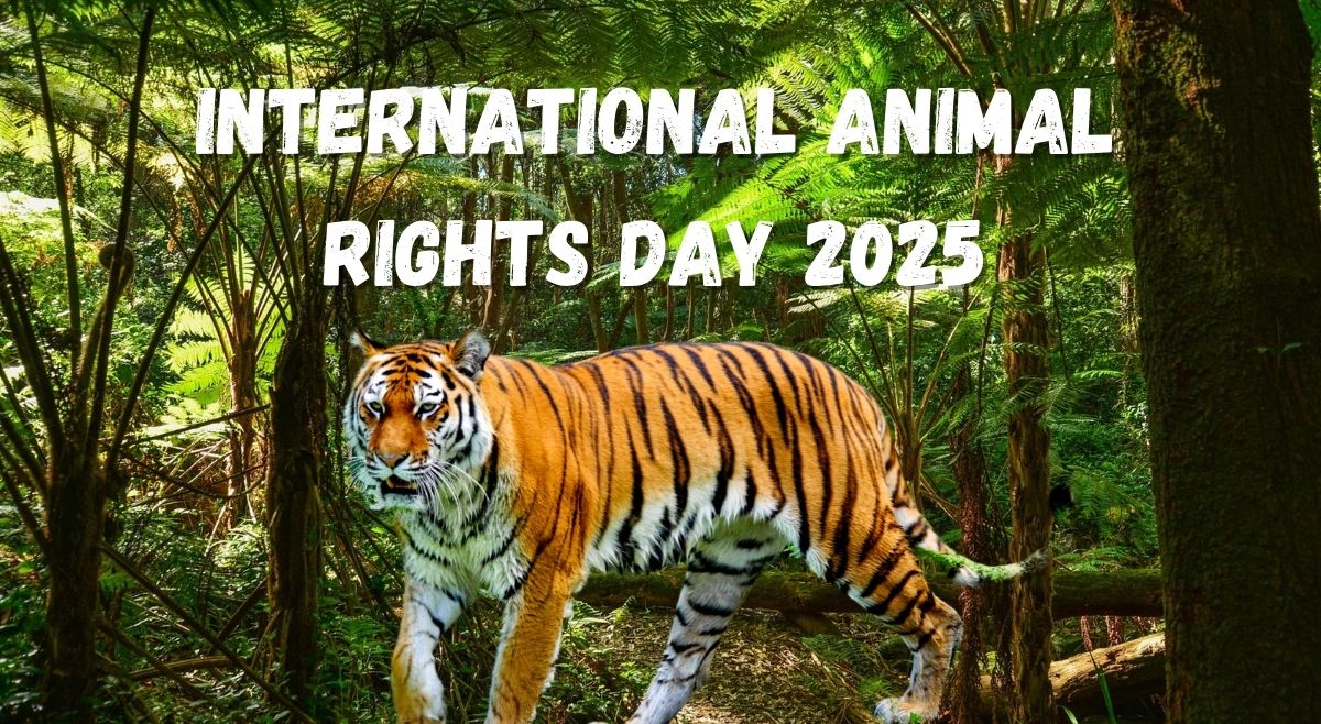 International Animal Rights day slogans2025
