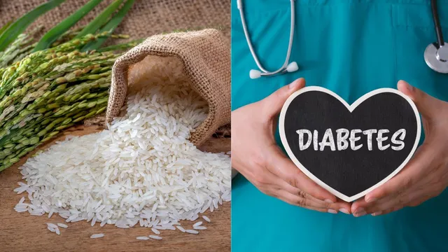Rice Isn’t Raising Your Diabetes Level; Doctor Reveals The Actually ...