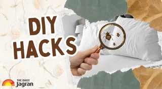 5 Easy DIY Hacks To Keep Bugs Out Of Your Home When You’re Away On Holiday