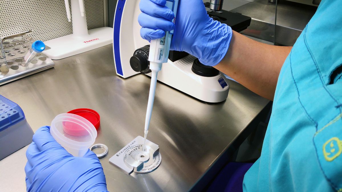 Male Infertility And IVF Failure