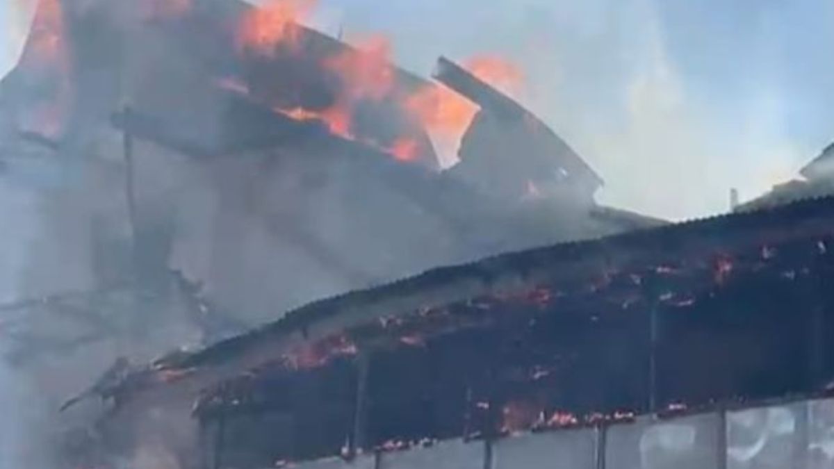 shimlafire