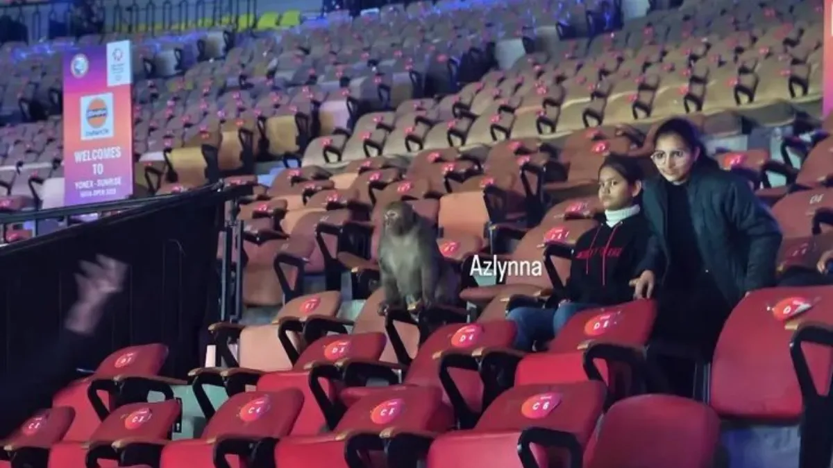 India Open Badminton: Korean Player Spots 'Monkey' At Indira Gandhi ...