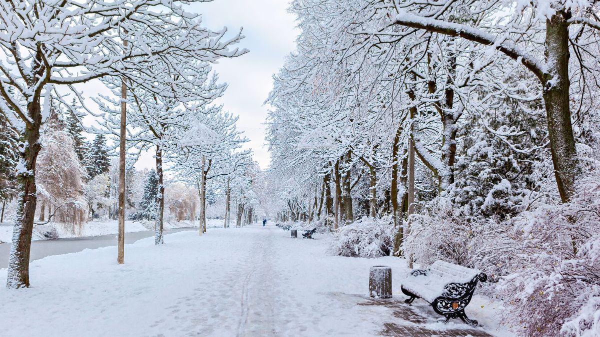30 Interesting Snow Facts You Must Know| World Snow Day 2026