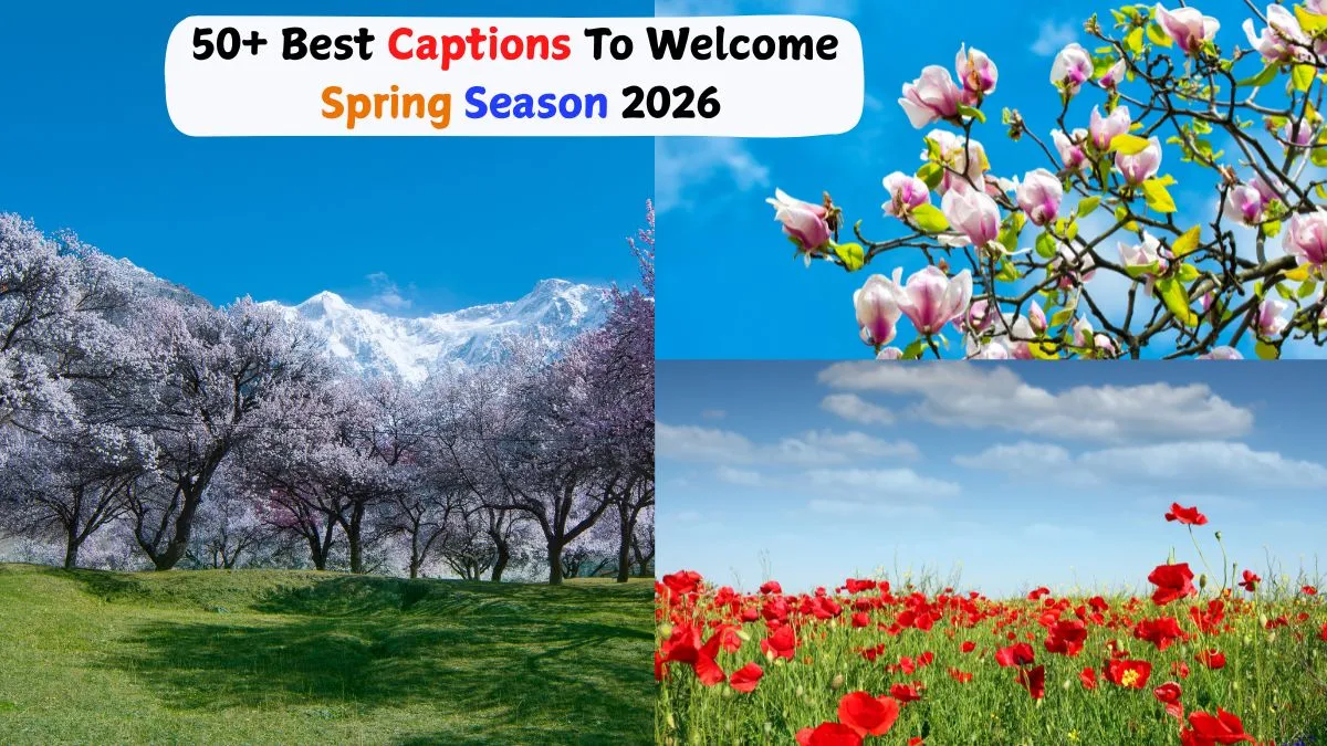 50+ Best Instagram Captions To Welcome Spring Season 2026