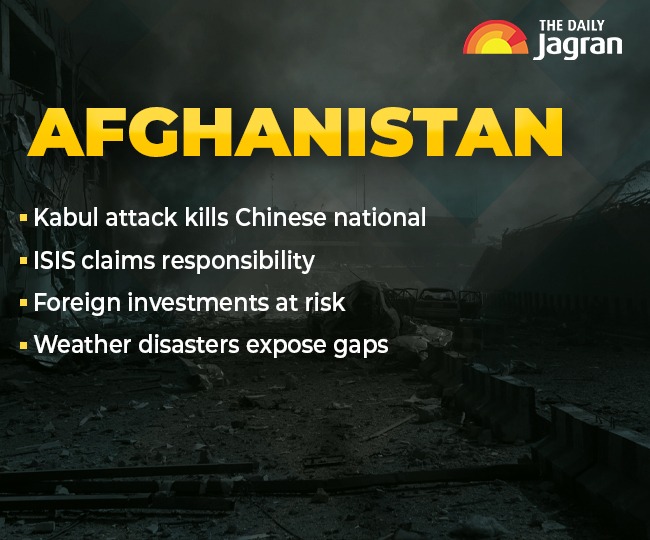 afghan