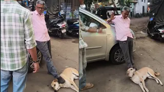 'I Feed Him, I Can Do Anything': Man Keeps His Foot On Pet Dog’s Neck In Public, Video Leaves Viewers Deeply Disturbed