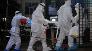 Nipah Virus Outbreak: Asian Airports Tighten Checks After Nipah Cases In India; Know Symptoms, Causes, Risks