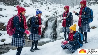 Tomorrow School Holiday: Schools Closed In This District Of Himachal Pradesh Amid Heavy Snowfall Alert
