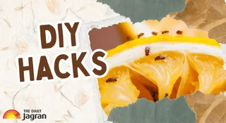 Tried And Tested DIY Hack To Get Rid Of Fruit Flies