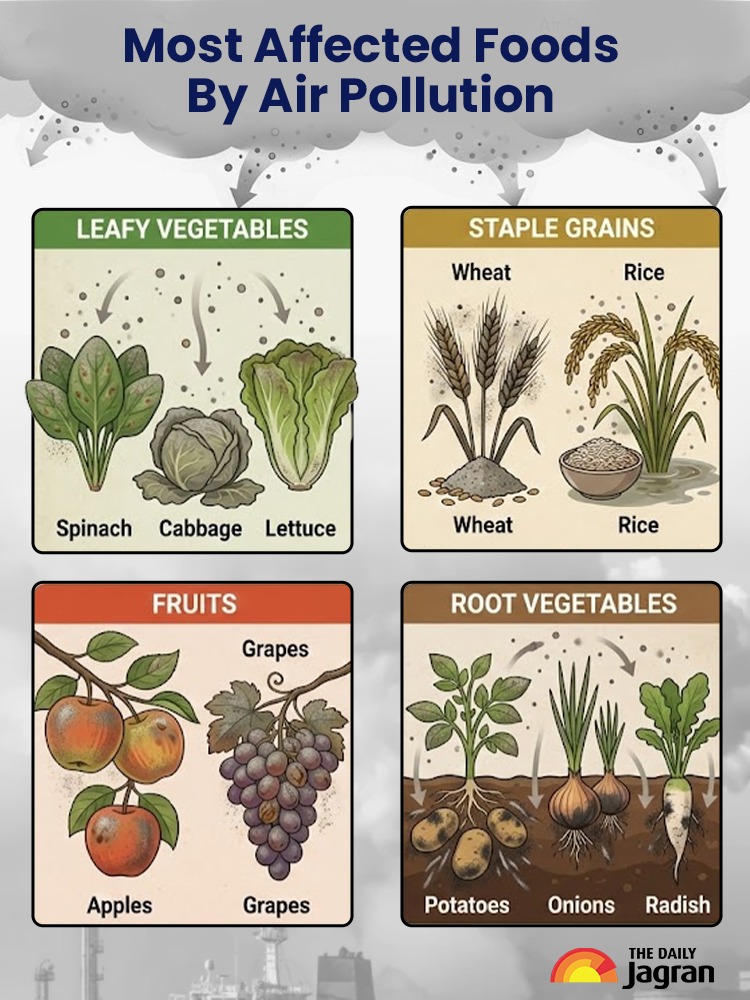 WhatsApp Image 2026-01-29 at 4.38.31 PM