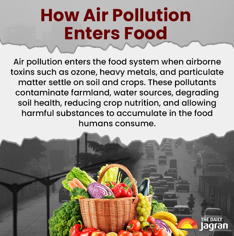 WhatsApp Image 2026-01-29 at 4.52.15 PM