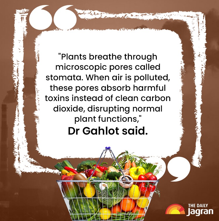 WhatsApp Image 2026-01-29 at 5.00.11 PM