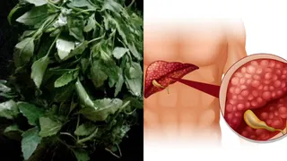 Bathua For Fatty Liver: A Natural Solution For Fatty Liver Problems