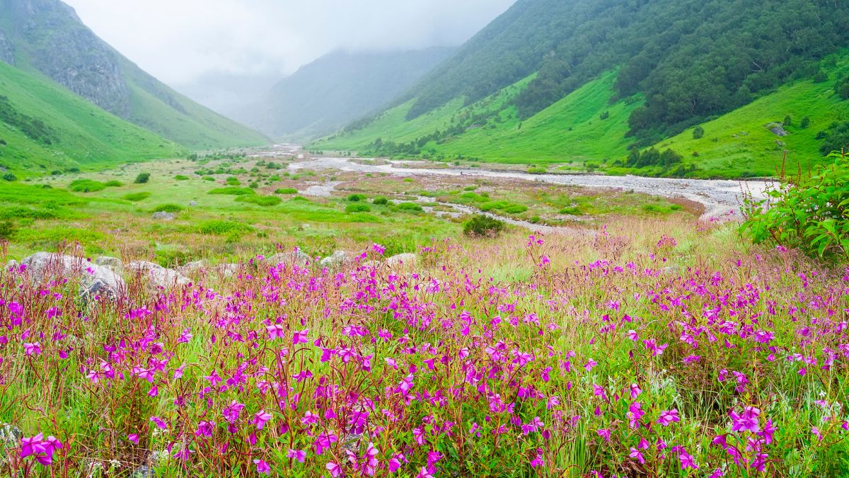 where is valley of flowers located  (2)