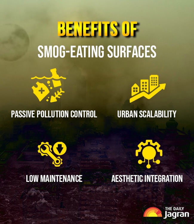 WhatsApp Image 2026-02-08 at 6.04.18 PM (2)