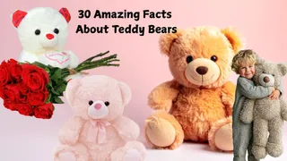 30 Interesting Teddy Bear Facts You Must Know: Invention, History, Origin, Evolution And More