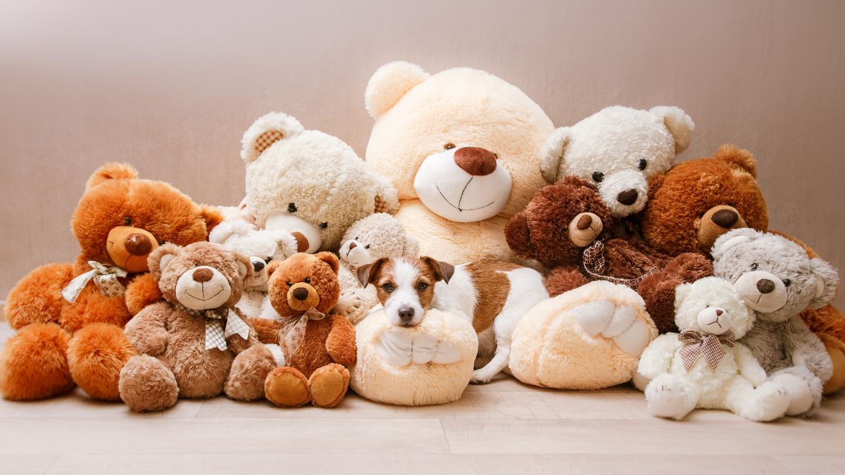 30 amazing facts about teddy bears origin invention evolution (1)