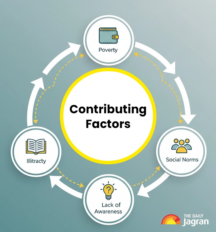 contriinfo