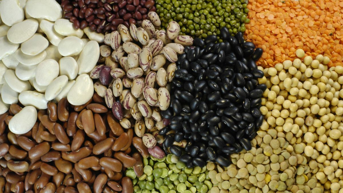 top 10 pulses producing countries on world pulses day 2026 (1)