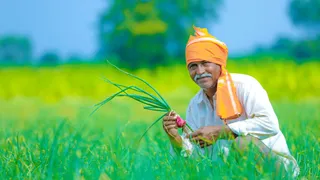 RBI Issues Draft Guidelines To Overhaul Kisan Credit Card Scheme; Key Changes Explained