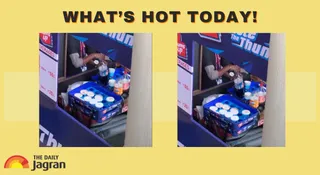Delhi Stadium Vendors Allegedly Pour Leftover Drinks Back Into Bottles During T20 Match, Video Goes Viral | What's Hot Today
