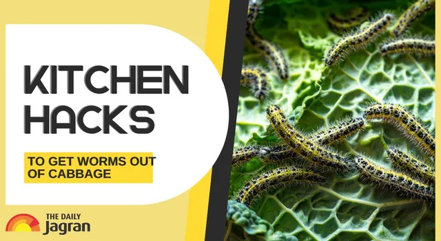 diy-kitchen-hacks-to-get-worms-out-of-cabbage-at-home