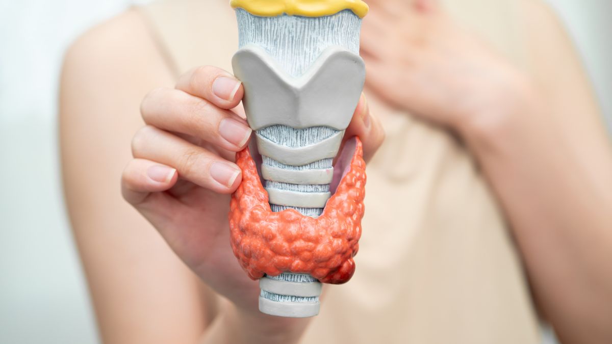 Thyroid Disorders In Women