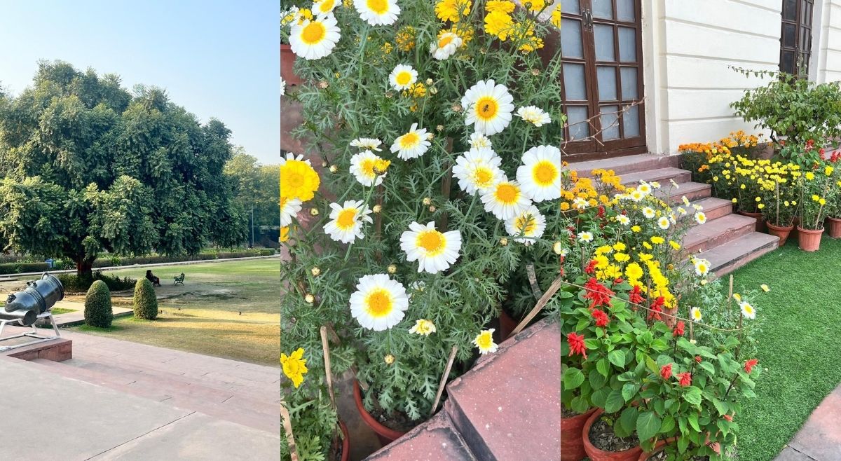 Nehru Planetarium Garden