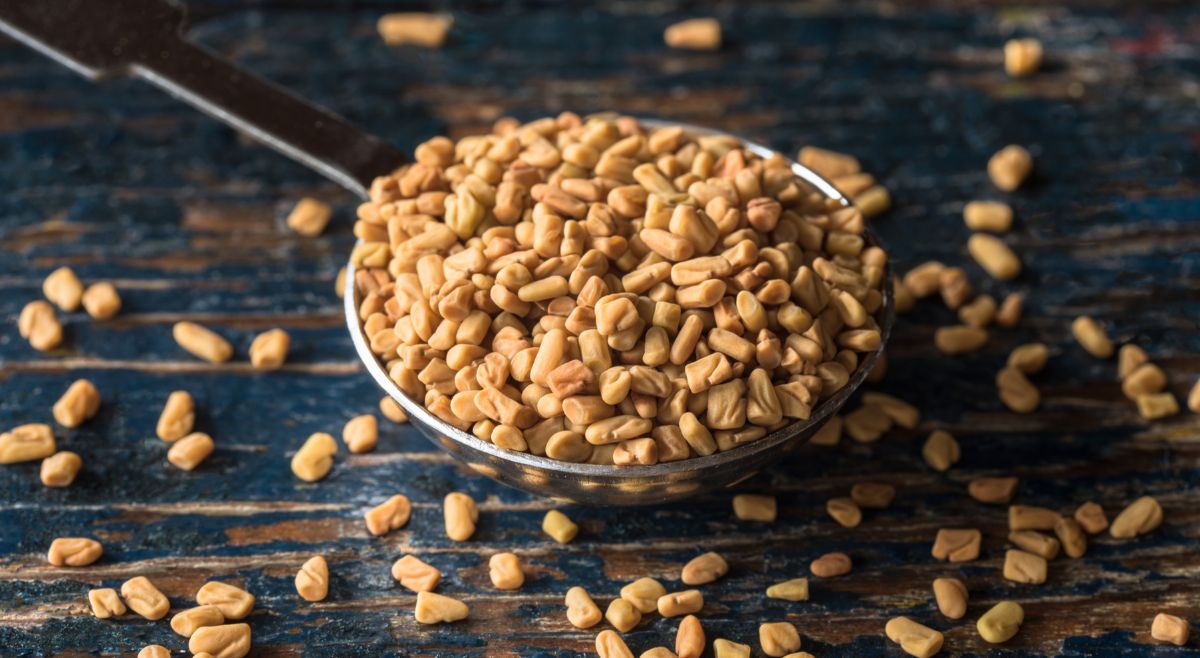 fenugreek