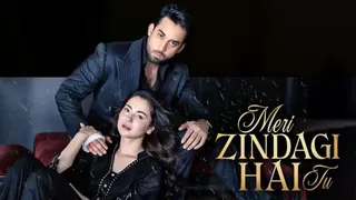 Meri Zindagi Hai Tu Episode 32 Release In India: How To Watch Hania Aamir, Bilal Abbas-Starrer Pakistani Drama Online?