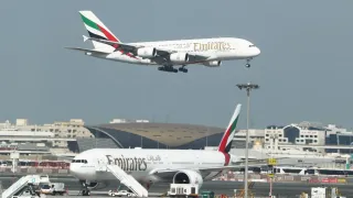 Dubai Airport Starts Limited Flights For Stranded Passengers, Plane From Abu Dhabi Lands In Delhi