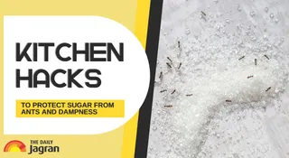 Smart Kitchen Hacks To Protect Sugar From Ants And Dampness