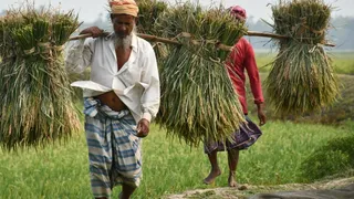 Iran-Israel-US War To Trigger A Food Crisis? Fertiliser Supply Chains Buckle Under New Maritime Threats