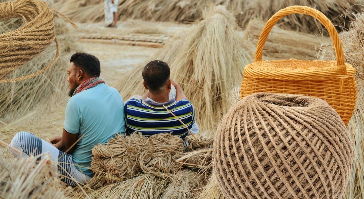 jute production in India