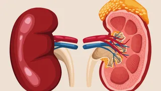 World Kidney Day: Why Protecting Your Kidneys Is More Important Than Ever
