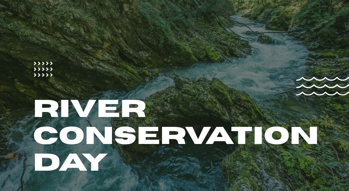 Respecting Rivers International Day Of Action For Rivers 2026: Slogans, Quotes And ...