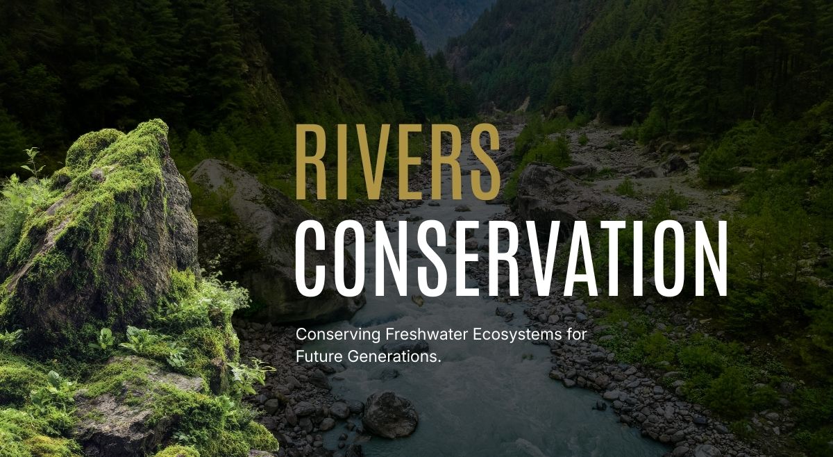 Respecting Rivers International Day Of Action For Rivers 2026: Slogans, Quotes And ...